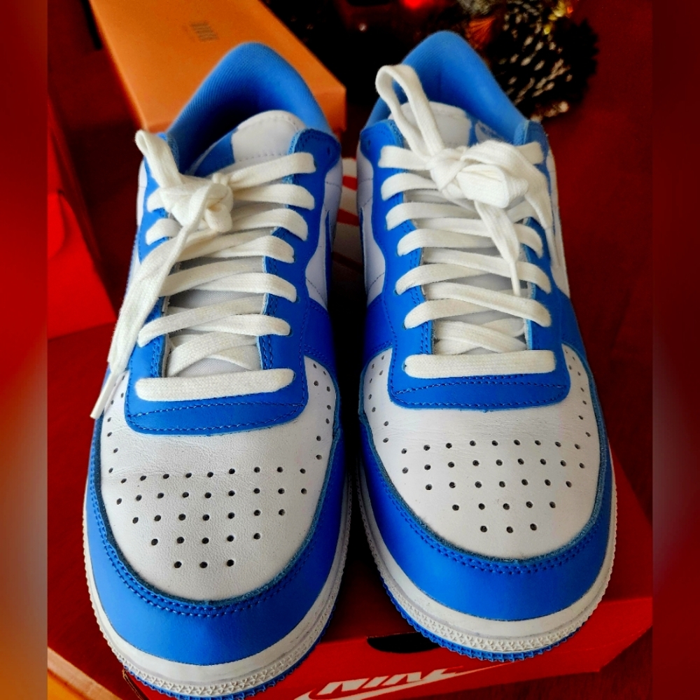 Nike Terminator Low University Blue
